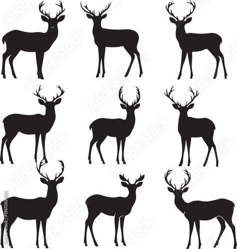 Deer Silhouettes Standing Various Postures.