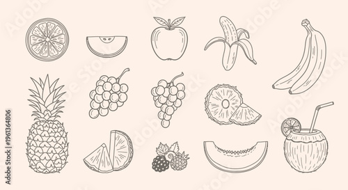 Hand-drawn line art illustration of various fresh fruits including oranges, apples, bananas, pineapples, grapes, berries, melon, and a coconut drink.