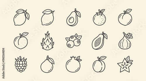 A collection of 15 hand-drawn, outline-style illustrations of various fruits and berries, presented on a plain, light-colored background.