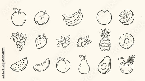 A charming collection of hand-drawn fruit illustrations, showcasing a variety of popular and exotic options in a clean, minimalist style.