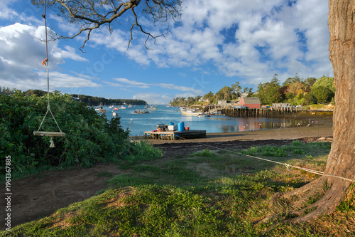 Rope Swing Hangs From Tree in Maine Harbor