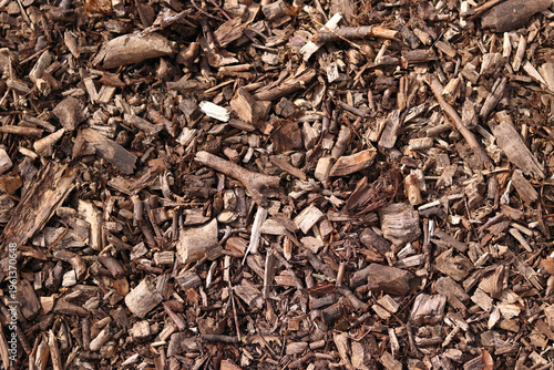 Foto Wood chip mulch is used in landscape design to cover the soil