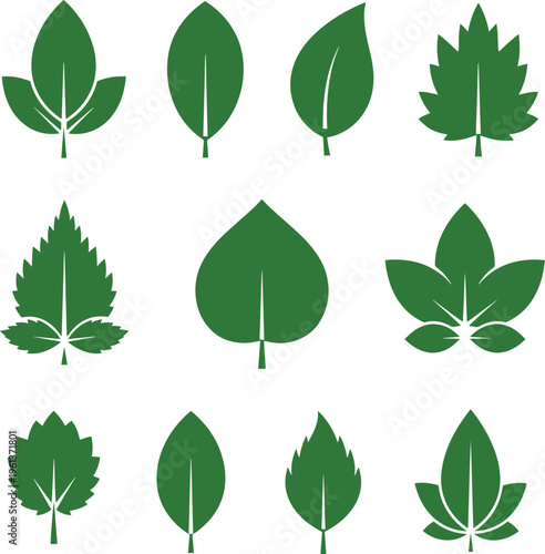 Green leaf icon set. Leaves icon on isolated background. Green leaf collection. Editable vector illustration
