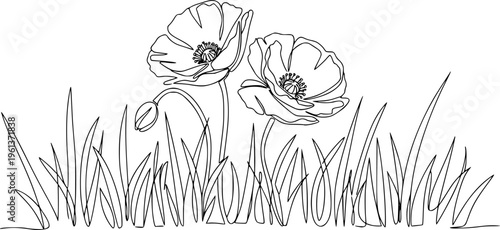 Poppy flowers in continuous line art drawing style. Doodle floral border with two flowers blooming among grass. Minimalist black linear design isolated on white background. Vector illustration