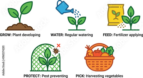 A set of five icons illustrates the essential steps for successful plant cultivation, covering growth, watering, feeding, protection, and harvesting.