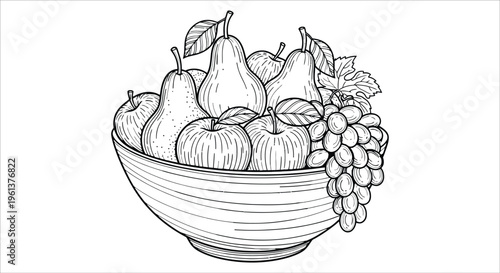 A detailed line drawing depicts a bowl overflowing with pears apples and grapes