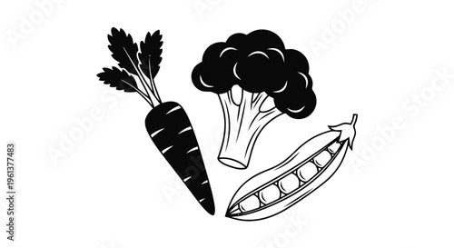 Vector illustration of set of fresh vegetables including carrot, broccoli and pea pod