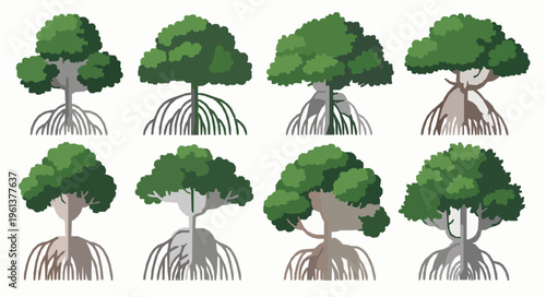 Mangrove tree and roots vector illustration set coastal nature EPS10 isolated on white