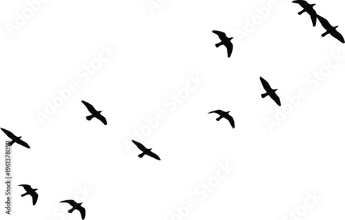 A flock of birds in flight formation against a white background