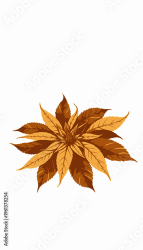 A Vibrant Cluster of Golden and Brown Autumn Leaves Arranged in a Symmetrical Pattern on a White Background