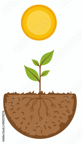 Illustration of a young plant growing in soil with visible roots under a bright sun, symbolizing the cycle of plant growth and solar influence on agricultural development