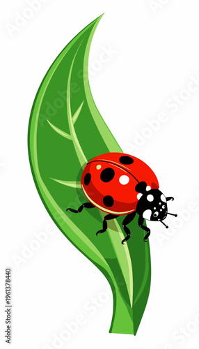 Illustration of a Vibrant Red Ladybug with Black Spots Resting on a Lush Green Leaf Against a White Background