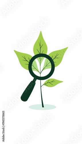 Magnifying Glass Focused on Green Leaf Illustrating Nature Exploration and Botanical Science Study for Environmental Research and Plant Observation