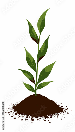Illustration of a Young Green Plant Sprouting from Rich, Brown Soil Representing Growth and Natural Life Cycle Concepts