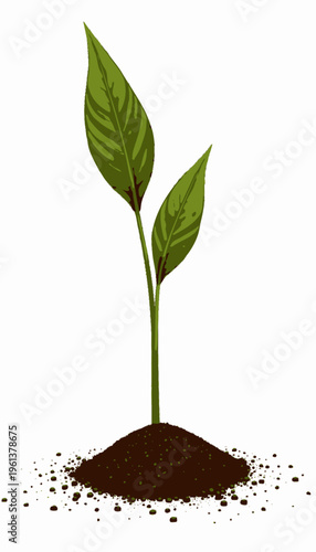 Vibrant Green Plant with Dual Leaves Sprouting From Rich Soil Representing Growth and Vitality in a Minimalistic Botanical Illustration