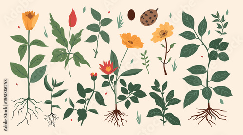 A simple, elegant illustration featuring smooth lines on a beige background, conveying a sense of calmness and serenity.