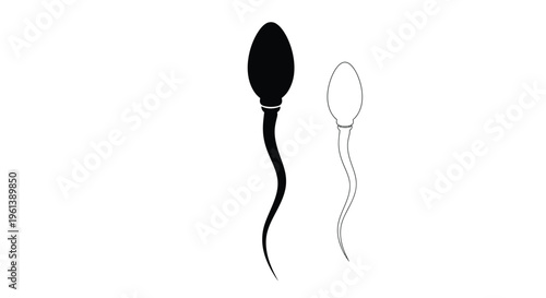 Two sperm cells one dark and one light contrasting silhouette