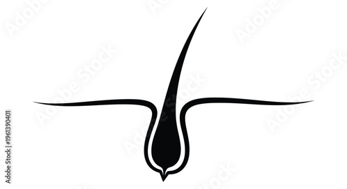 A stylized black hair follicle graphic with a distinct silhouette