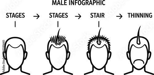 Male hair loss stages a visual guide to hair cut and thinning in men