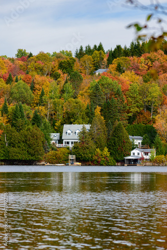 Valokuva Cluster of white and gray cottages sits beneath dense autumn canopy overlooking