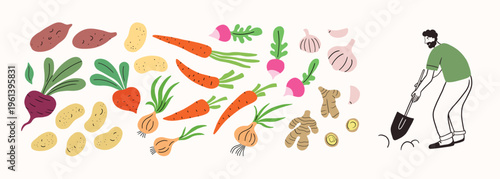 Farm agricultural local food, vegetables roots from farm, local market concept, farmer working. Hand drawn simple doodle illustration. Farming, agriculture.Potato, garlic, onion, beetroot, carrot.