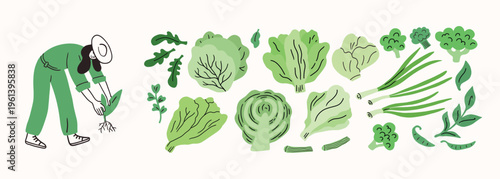 Farm agricultural local food, vegetables roots from farm, local market concept, farmer working. Hand drawn simple doodle illustration. Eco, healthy food, vegan. Cole, salad, green onion, broccoli.