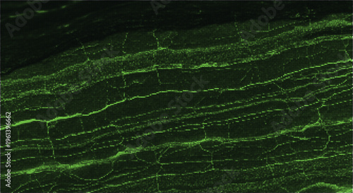 Abstract digital texture with green lines and cell-like shapes on black background.