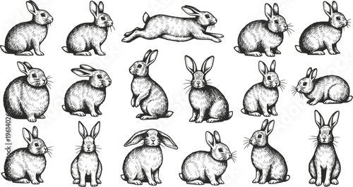 Big collection of rabbit sketches. Transparent background EPS version.