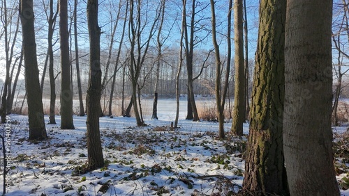 Winter forest and frozen lake aerial landscape