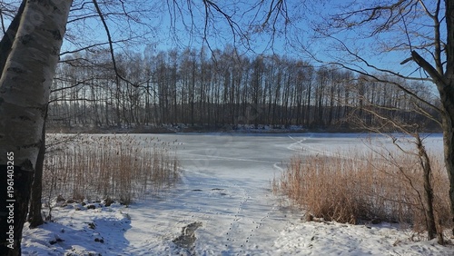 Winter forest and frozen lake aerial landscape