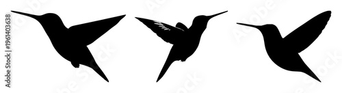 Hummingbird hovering silhouette set with simple line art design featuring outline, illustration, graphic elements with clean design and vector art