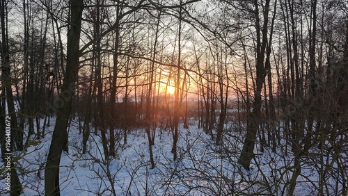 Winter forest and frozen lake aerial landscape