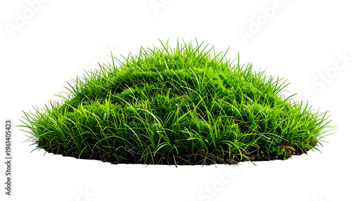 Lush green tuft of grass on a transparent black background, resembling a small mound