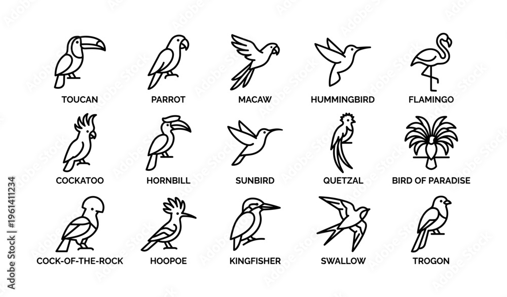 Naklejka premium Outline icons of various bird species including toucan, parrot, and flamingo