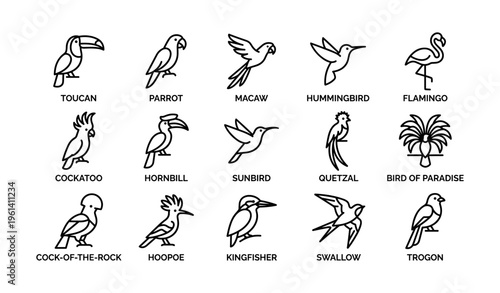 Outline icons of various bird species including toucan, parrot, and flamingo