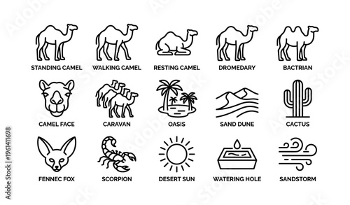 Desert icon set: camels, oasis, dunes, cactus, and wildlife symbols