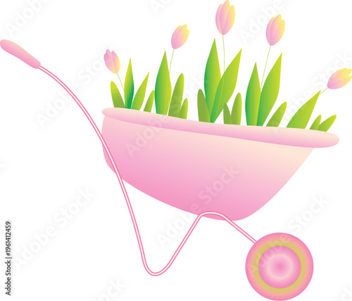 Cute pink garden wheelbarrow full of colorful tulips flowers. Spring gardening vector illustration. Isolated on white