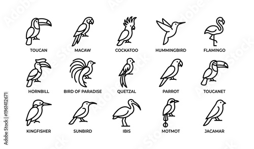 Illustrated icons of exotic birds: toucan, macaw, cockatoo, hummingbird, flamingo
