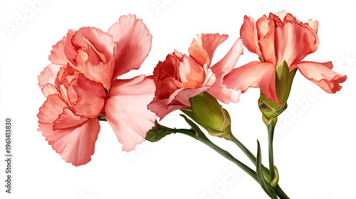 Elegant wedding invitation card background vector. Minimal hand painted watercolor botanical flowers texture template background. Design for wedding, vip cover, poster, rsvp moderncard.Valentine's Day