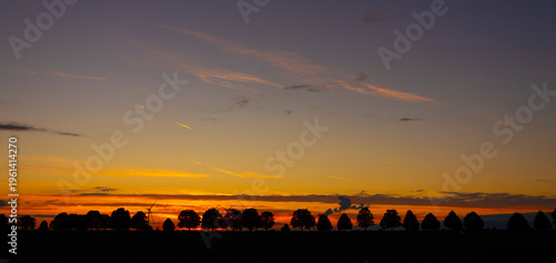 sunset over the field