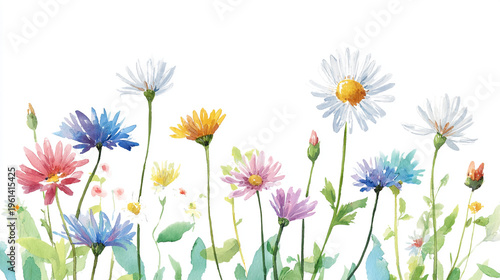 Elegant wedding invitation card background . Minimal hand painted watercolor Cosmosflowers texture template background. Design for wedding, vip cover, poster, rsvp moderncard. Valentine's Day