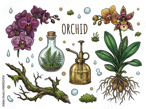 Hand Drawn Orchid Botanical Illustration Set with Exotic Flowers, Glass Terrarium, and Vintage Water Sprayer on Black Background