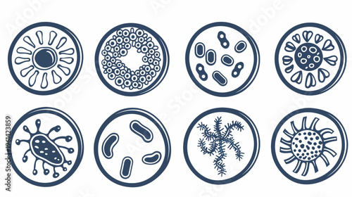 Eight graphic circles depicting different microscopic life forms. Detailed illustrations on a white backdrop