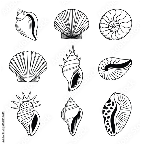 Set of nine black and white hand drawn seashell featuring various mollusk shapes including scallops conch shells and spiral sea snails isolated on a plain white background