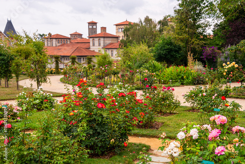 Blooming roses in a garden surrounded by French architecture in Rennes, Brittany, France