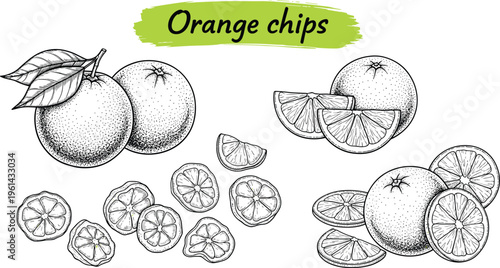 Orange chips engraving vector set. Fresh fruits and dried slices detailed illustration. Hand drawn citrus collection in vintage style for packaging and snack design.