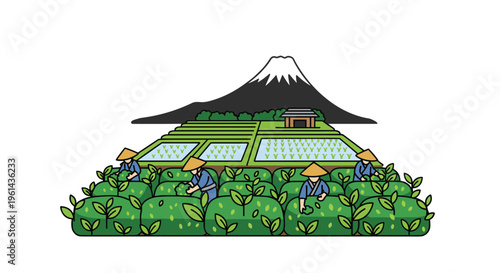 Four workers in conical hats harvest tea leaves in a vibrant green plantation with terraced rice paddies and Mount Fuji in the background.