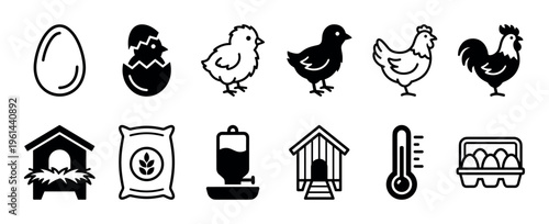 Poultry farming and chicken life cycle icons set in a minimalist black glyph style showing egg, chick, hen, rooster, coop, feed, and waterer for agricultural concepts
