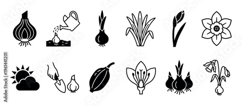 Black and white gardening icon set showing the life cycle of a bulbous flower from planting and watering to sprouting, blooming, and wilting, in a simple minimalist graphic style