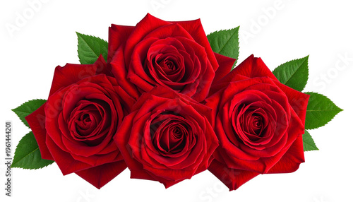 Four vibrant red roses with green leaves arranged against a black background